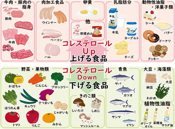 コレステロールに関与する食品