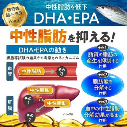 DHA・EPAの動き