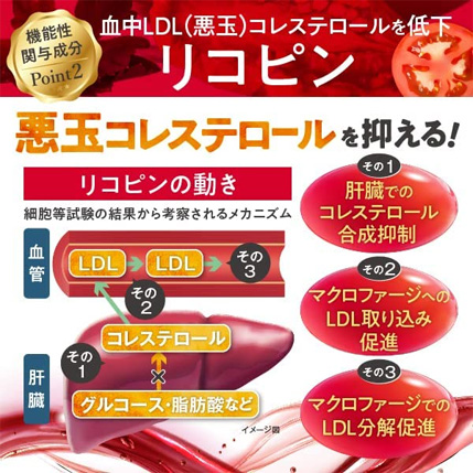 リコピンの働き