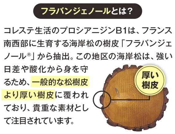 フラバンジェノールから抽出の自然由来成分