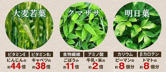 青汁の原料となる野菜の種類