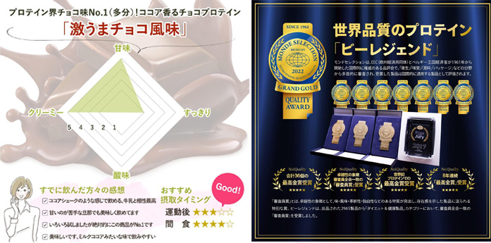 ビーレジェンド ホエイプロテイン 激うまチョコ風味