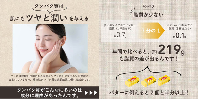 高いタンパク質含有量