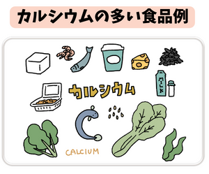 カルシウムの多い食品