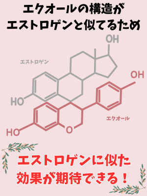 エクオールとは