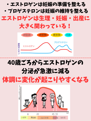 エストロゲンとは