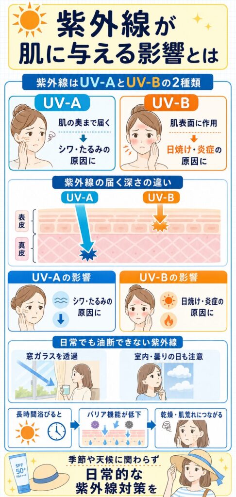 紫外線が肌に与える影響とは