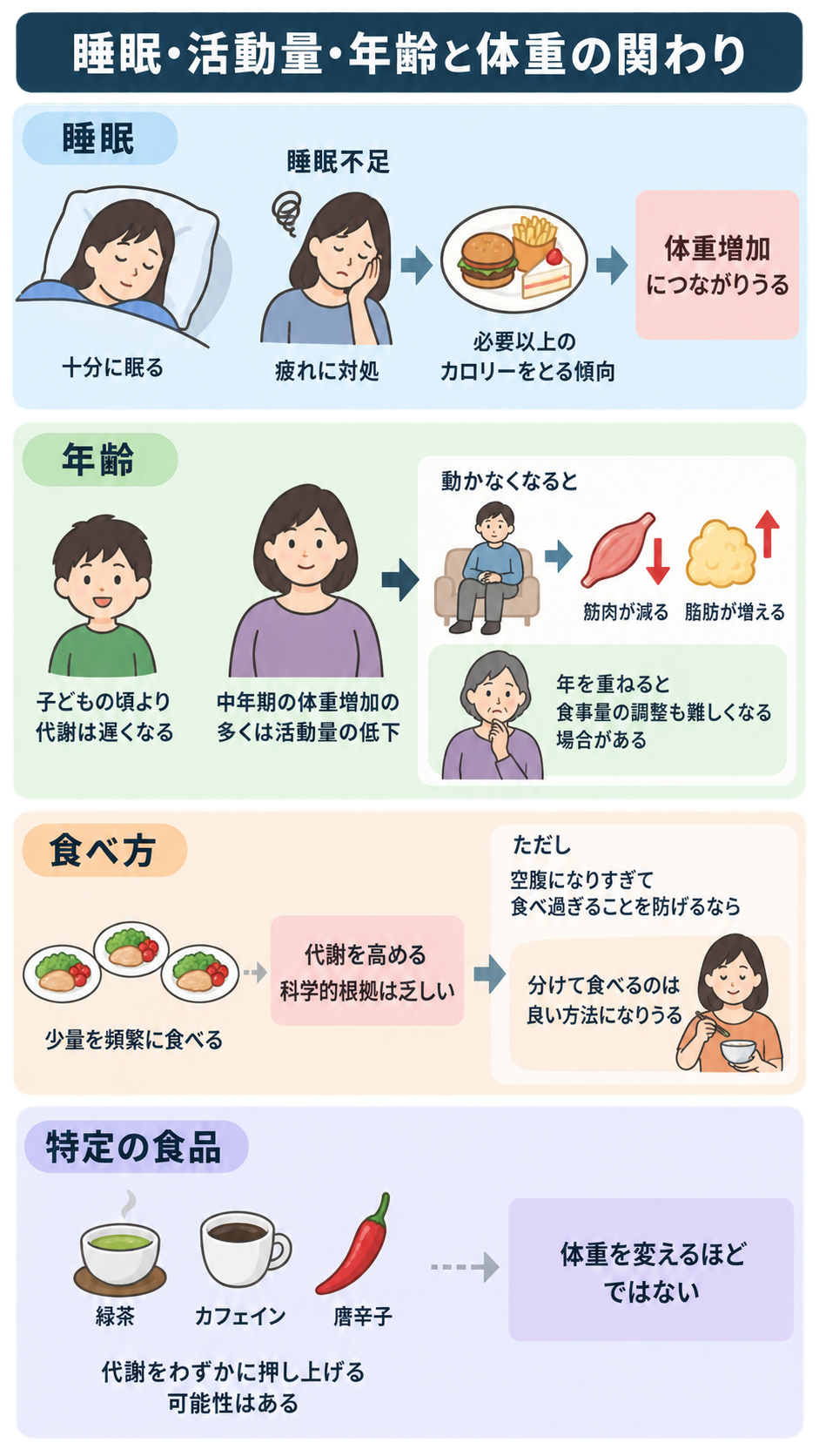 睡眠、年齢、食べ方、特定の食品の4区分で体重との関わりを説明する図解。睡眠不足は必要以上のカロリー摂取と体重増加につながりうること、動かなくなると筋肉が減り脂肪が増えること、緑茶やカフェインなどは体重を変えるほどではないことを示す。