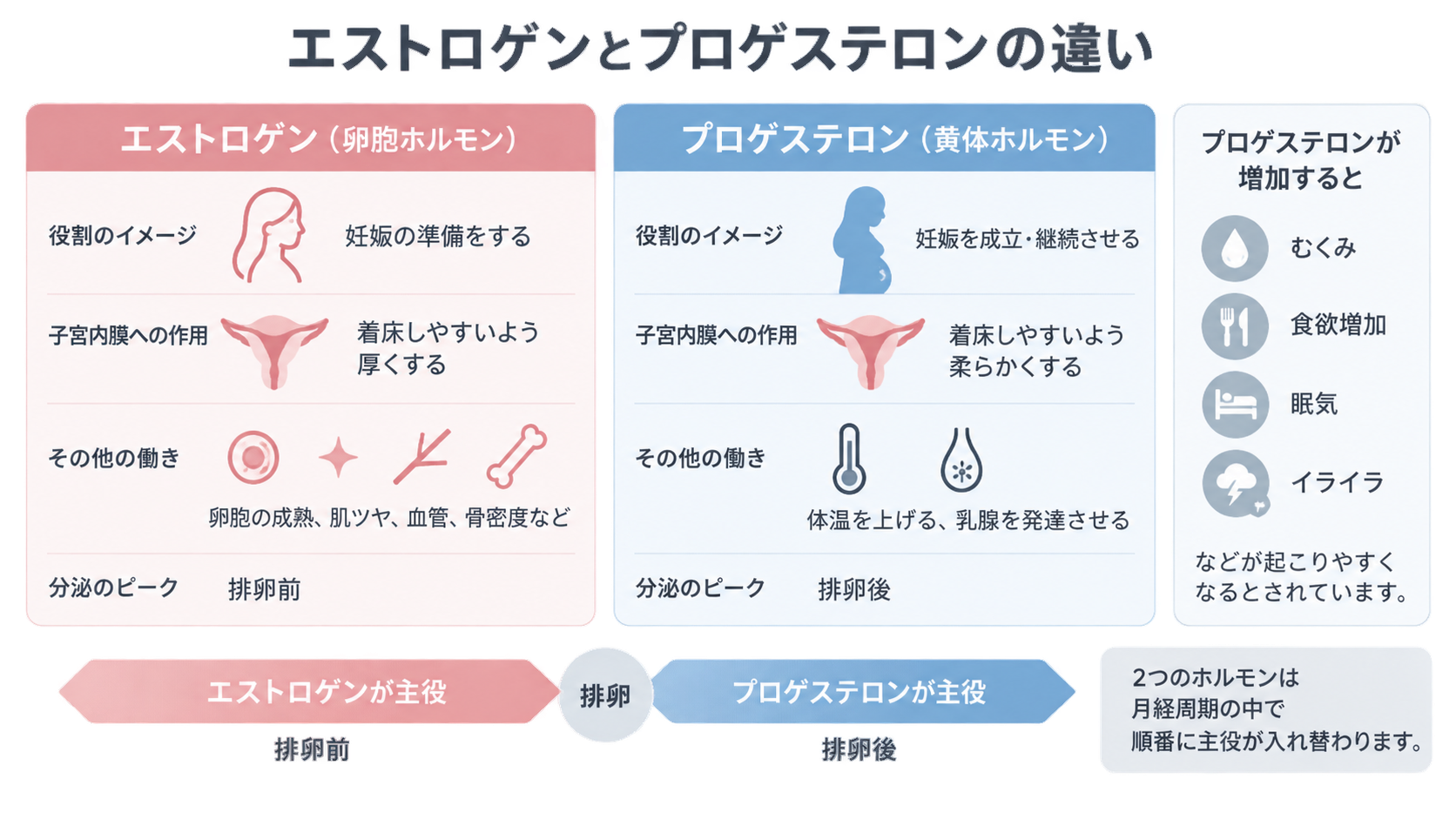 エストロゲンとプロゲステロンの役割、子宮内膜への作用、その他の働き、分泌のピークを左右に並べた比較図。下部に排卵前はエストロゲン、排卵後はプロゲステロンが主役と示す。