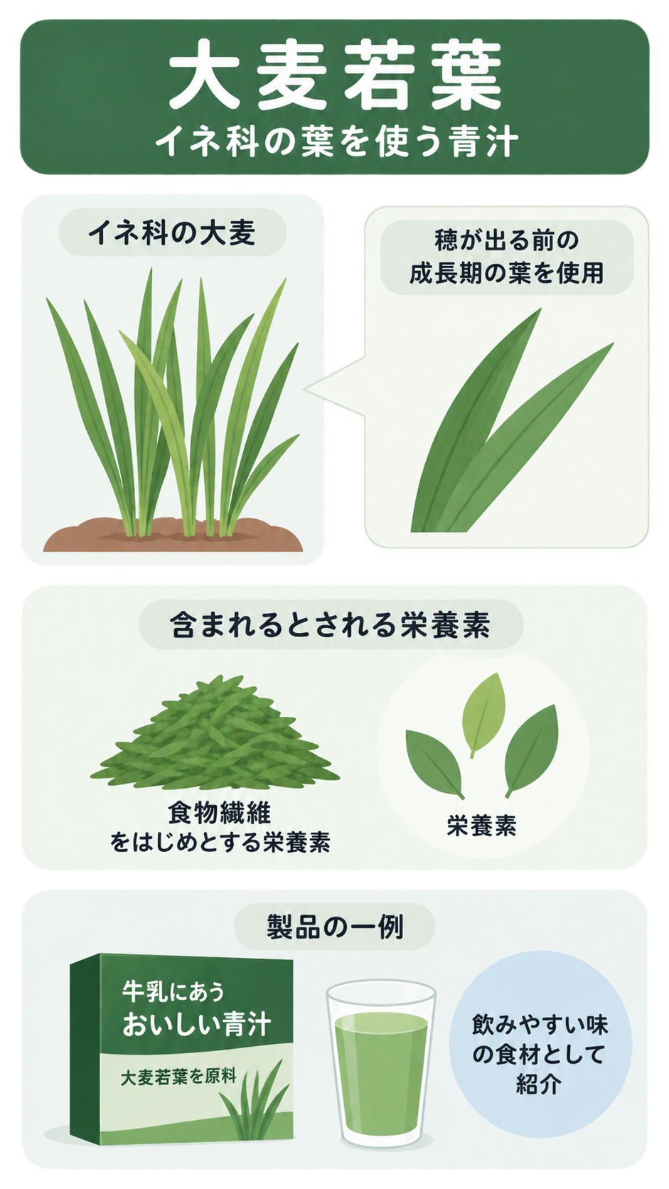 イネ科の大麦の葉、穂が出る前の葉の拡大、含まれるとされる栄養素、青汁の箱と緑色の飲み物を順に示した解説図。