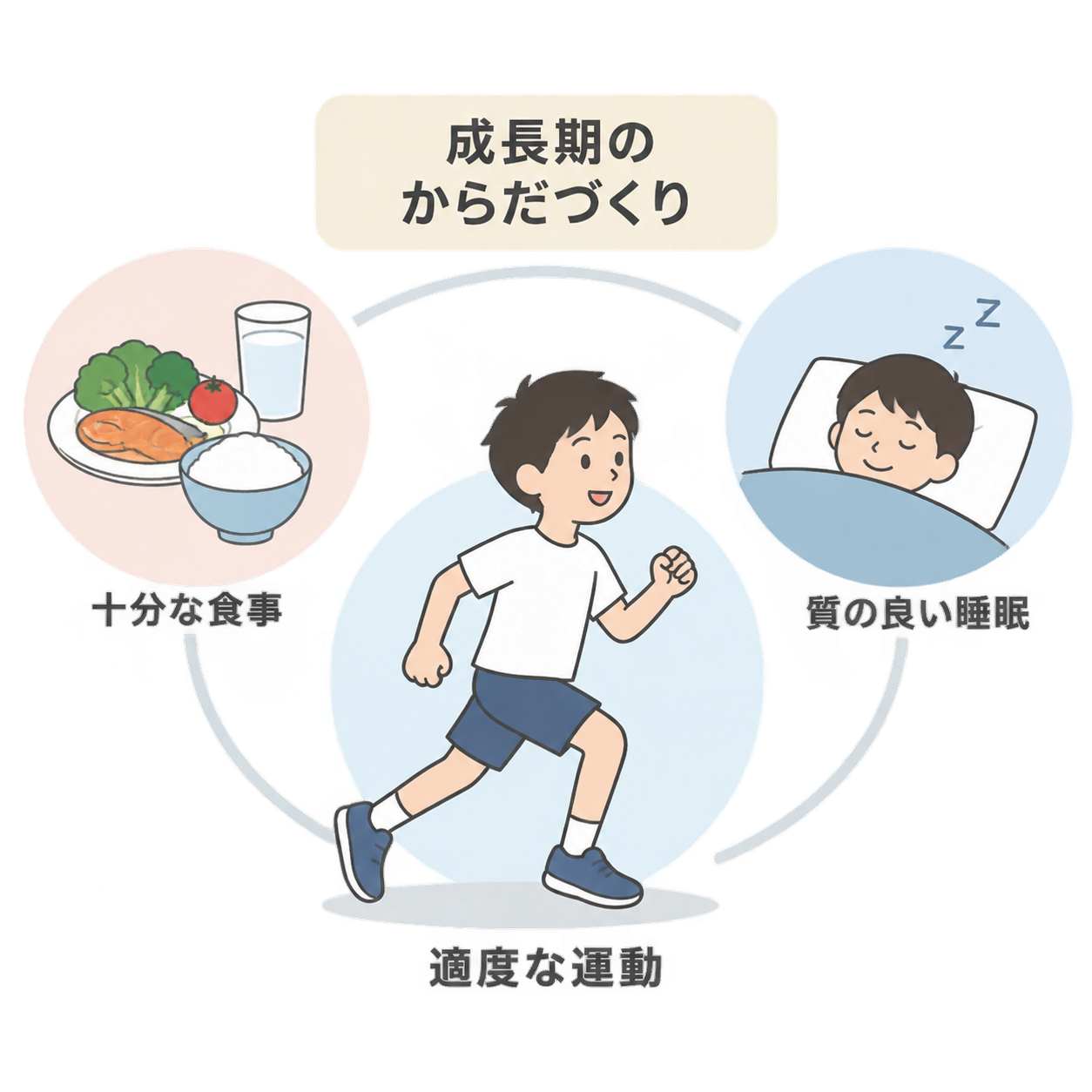 「成長期のからだづくり」の図。中央に走る男の子と「適度な運動」、左に魚やご飯など食事の皿と「十分な食事」、右に眠る男の子と「質の良い睡眠」が円で示されている。