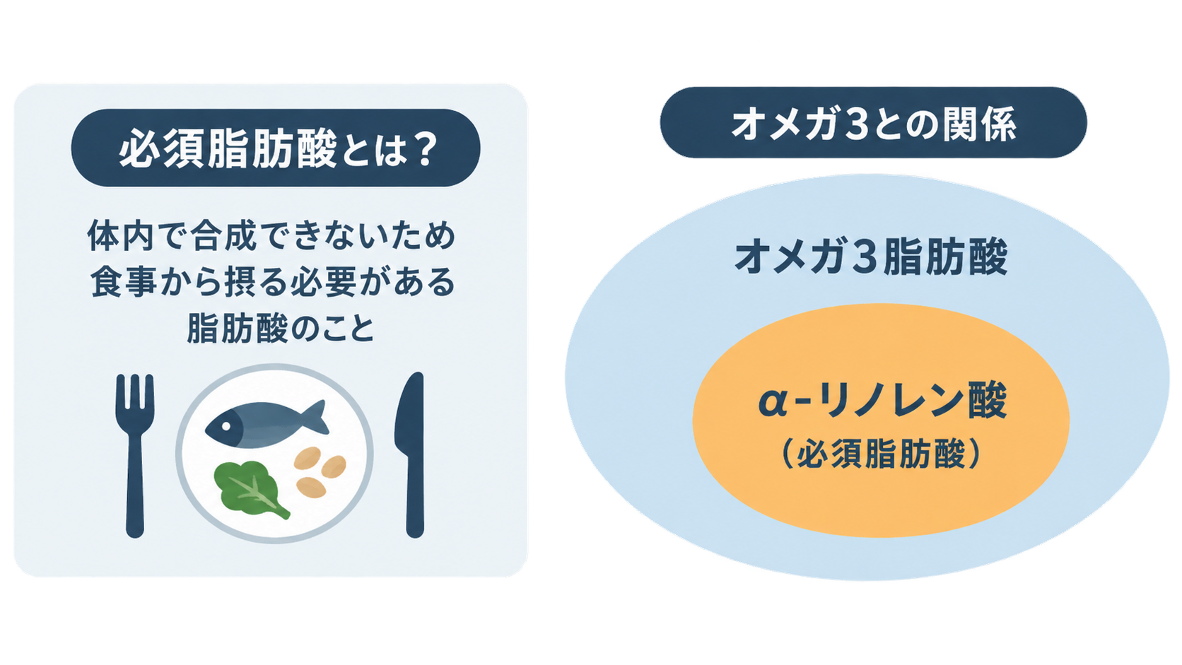 左は必須脂肪酸を「体内で合成できないため食事から摂る必要がある脂肪酸」と説明し、魚や葉物、豆を盛った皿を描く。右はオメガ3脂肪酸の楕円の中にα-リノレン酸(必須脂肪酸)が含まれる関係を示す。