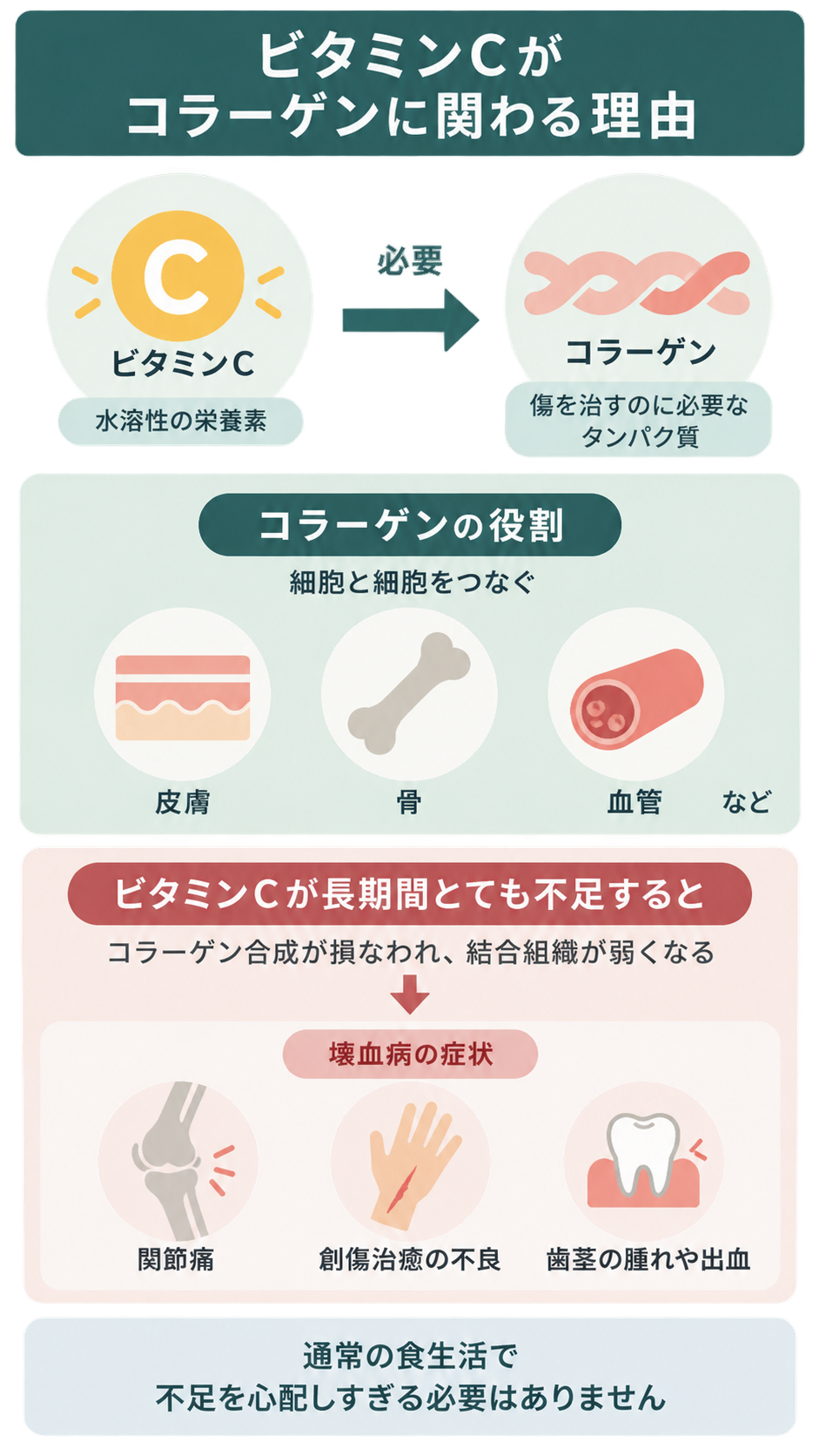 ビタミンCがコラーゲンの生成に必要であること、コラーゲンが皮膚・骨・血管で細胞をつなぐ役割、長期の不足で起こる壊血病の症状(関節痛、創傷治癒の不良、歯茎の腫れや出血)を示した図解。