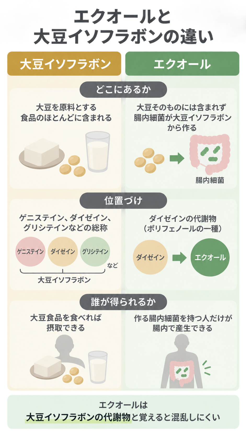大豆イソフラボンとエクオールを「どこにあるか」「位置づけ」「誰が得られるか」の3項目で左右に比較した図。豆腐や豆乳、腸内細菌、ダイゼインからエクオールへの変換を示し、下部に「大豆イソフラボンの代謝物と覚える」とある。