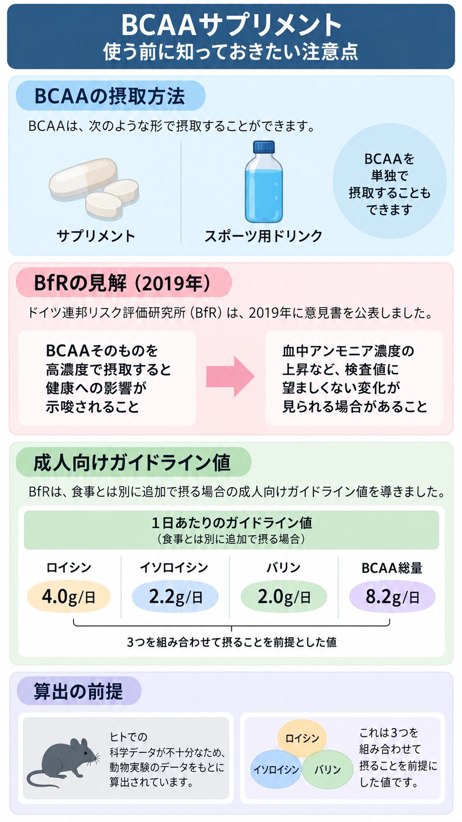 BCAAの摂取方法、BfRの2019年の見解、ロイシン4.0g・イソロイシン2.2g・バリン2.0g・総量8.2gの1日ガイドライン値、動物実験に基づく算出の前提をまとめた図解。