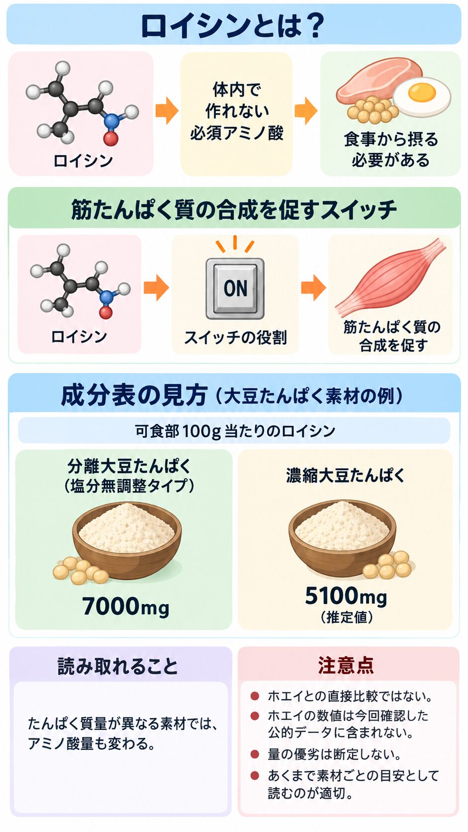 ロイシンは体内で作れない必須アミノ酸で、筋たんぱく質の合成を促すスイッチとして説明されている。分離大豆たんぱくは100g当たり7000mg、濃縮大豆たんぱくは5100mg(推定値)と示され、ホエイとの比較ではない注意点も並ぶ。