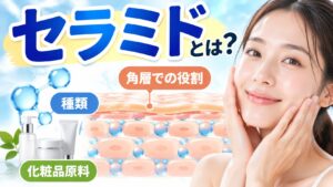 「セラミドとは？」の大きな文字と、頬に手を添えて微笑む女性。角層の断面イラスト、分子モデル、化粧品ボトルと「角層での役割」「種類」「化粧品原料」の見出しが配置されている。