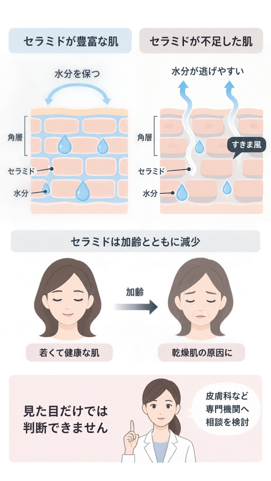 角層をレンガ状に描き、セラミドが豊富な肌は水分を保ち、不足した肌は水分が逃げやすい様子を比較。加齢で乾燥肌の原因になること、見た目だけでは判断できず専門機関への相談を促す内容も示す。
