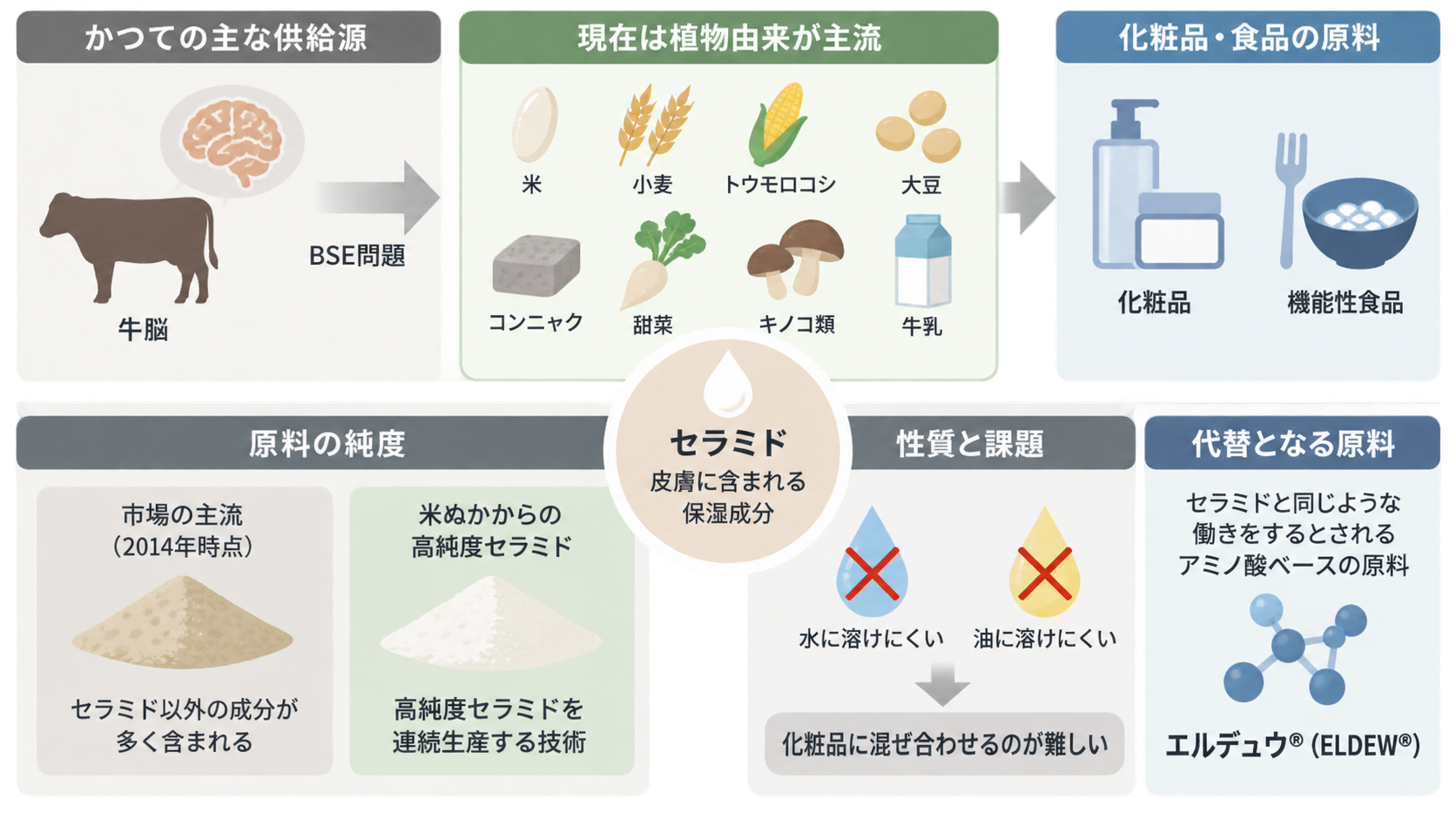中央のセラミドを軸に、牛脳から植物由来への供給源の変化、化粧品・機能性食品への利用、原料の純度、水や油に溶けにくい性質、代替原料エルデュウを示した図。