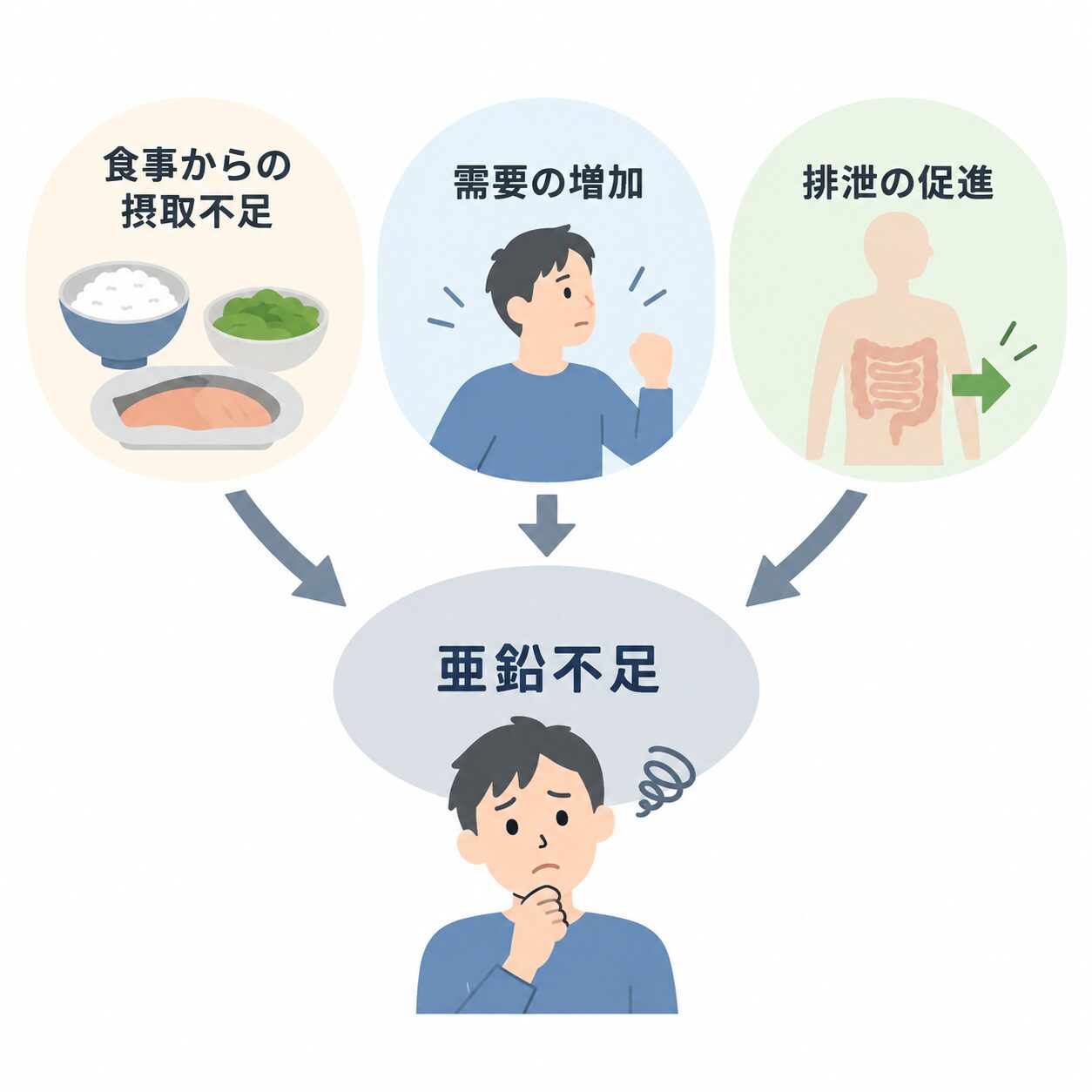 「食事からの摂取不足」「需要の増加」「排泄の促進」の3つから矢印が「亜鉛不足」に向かい、その下で困った表情の男性が考え込んでいるイラスト。