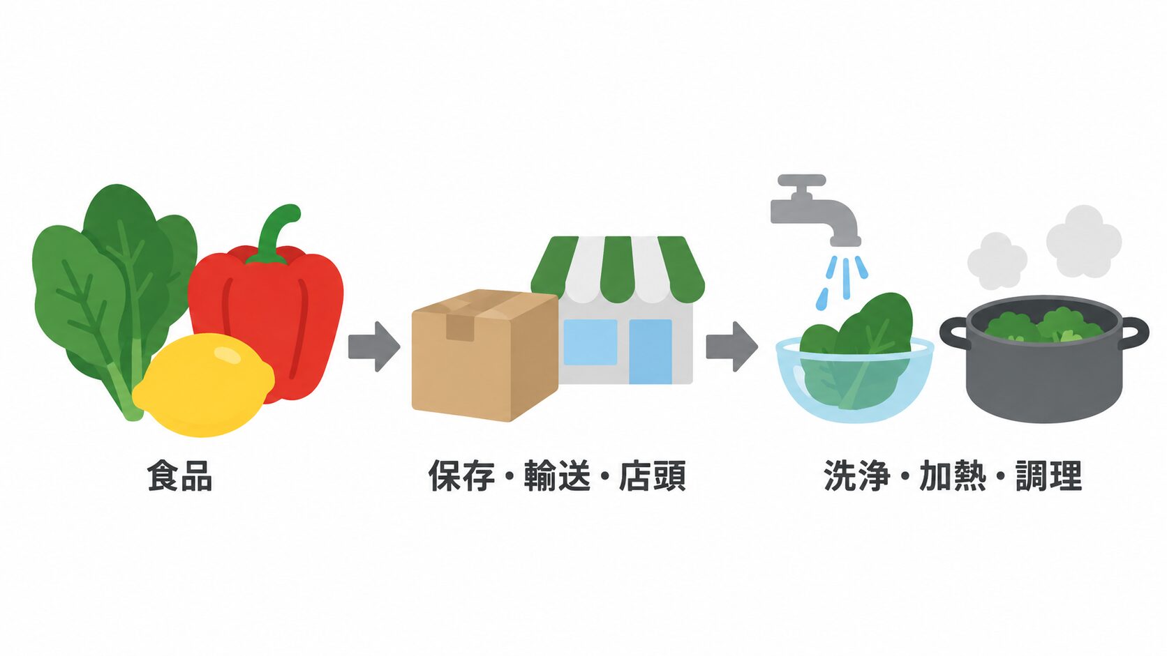 ほうれん草、赤パプリカ、レモンの食品から、段ボールと店舗の「保存・輸送・店頭」、水洗いと鍋での加熱を示す「洗浄・加熱・調理」へ矢印で進むイラスト。