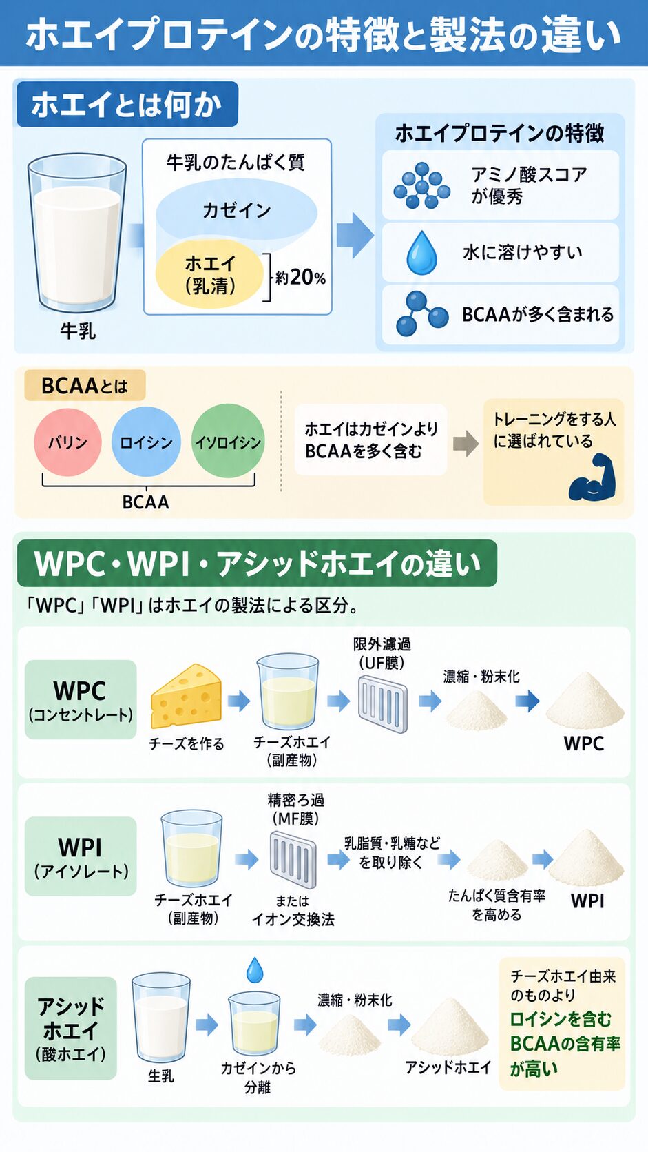 牛乳たんぱく質に占めるホエイの割合とBCAAの構成を示し、WPC、WPI、アシッドホエイの製造工程を順に比べた解説図。