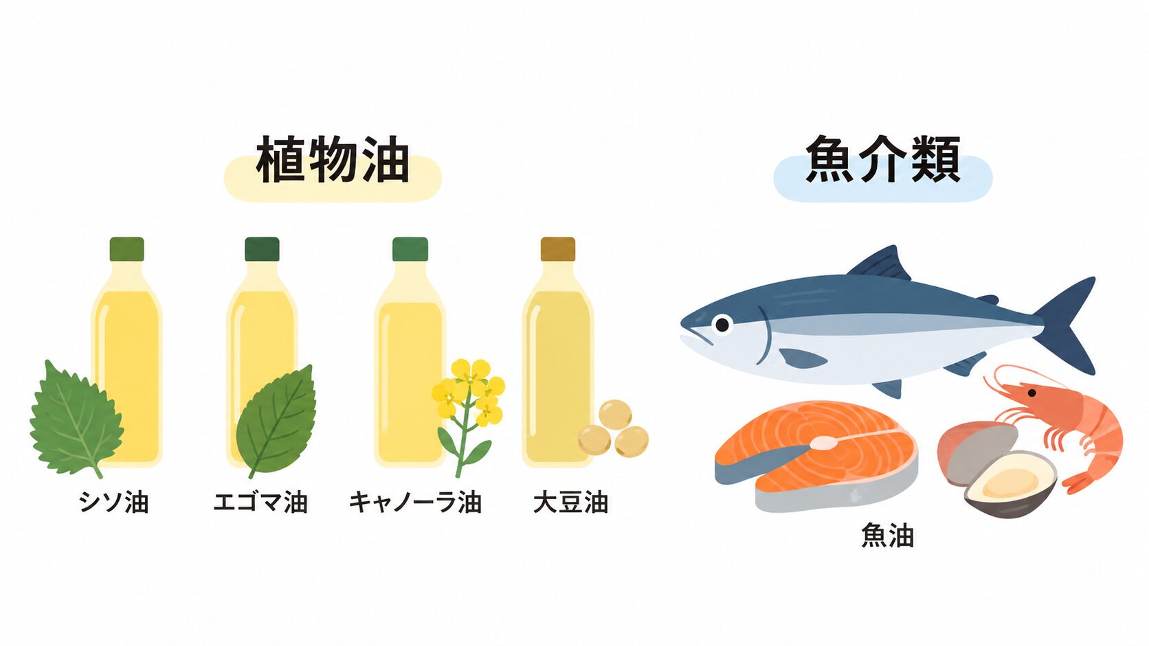 左に植物油としてシソ油、エゴマ油、キャノーラ油、大豆油の瓶が並び、右に魚介類として魚、鮭の切り身、エビ、貝のイラストが描かれた図。