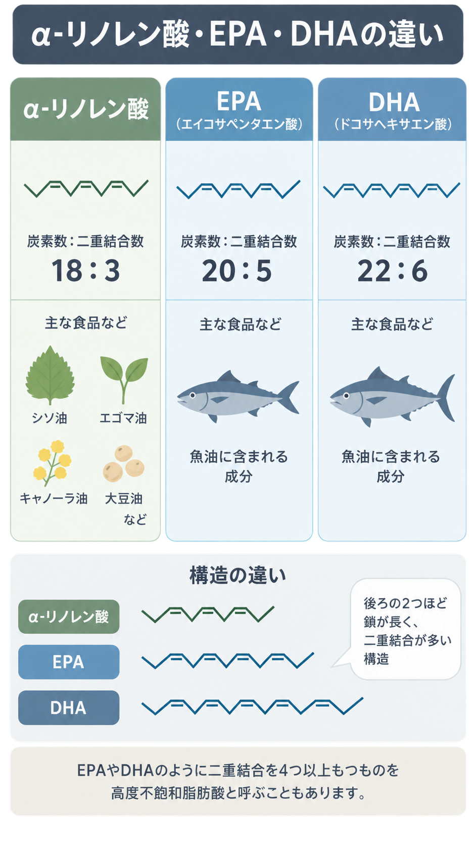 α-リノレン酸(18:3)、EPA(20:5)、DHA(22:6)を3列で比べた図。各列に炭素数と二重結合数、主な食品のイラスト、下部に鎖の長さを示す構造の比較がある。