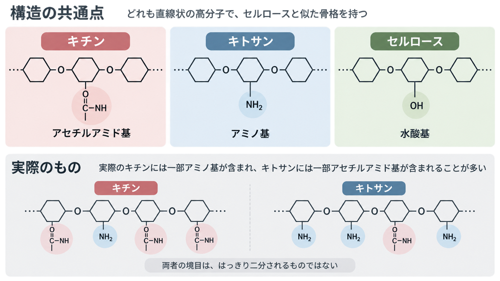 キチン、キトサン、セルロースの直線状構造を並べ、特定位置の基がアセチルアミド基、アミノ基、水酸基と異なることを示す図。下段では実際のキチンとキトサンに両方の基が混在する例を示す。