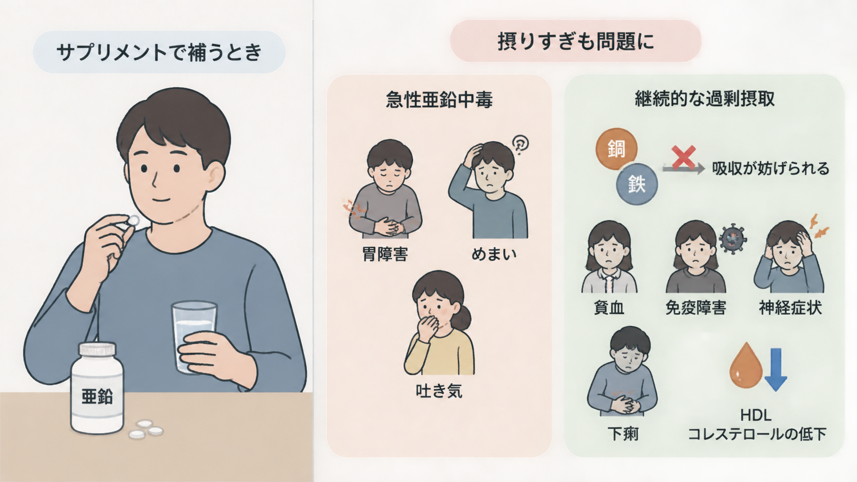亜鉛サプリを飲む男性と、急性中毒の胃障害・めまい・吐き気、継続的な過剰摂取による銅と鉄の吸収阻害、貧血、免疫障害、神経症状、下痢、HDLコレステロール低下を示すイラスト。