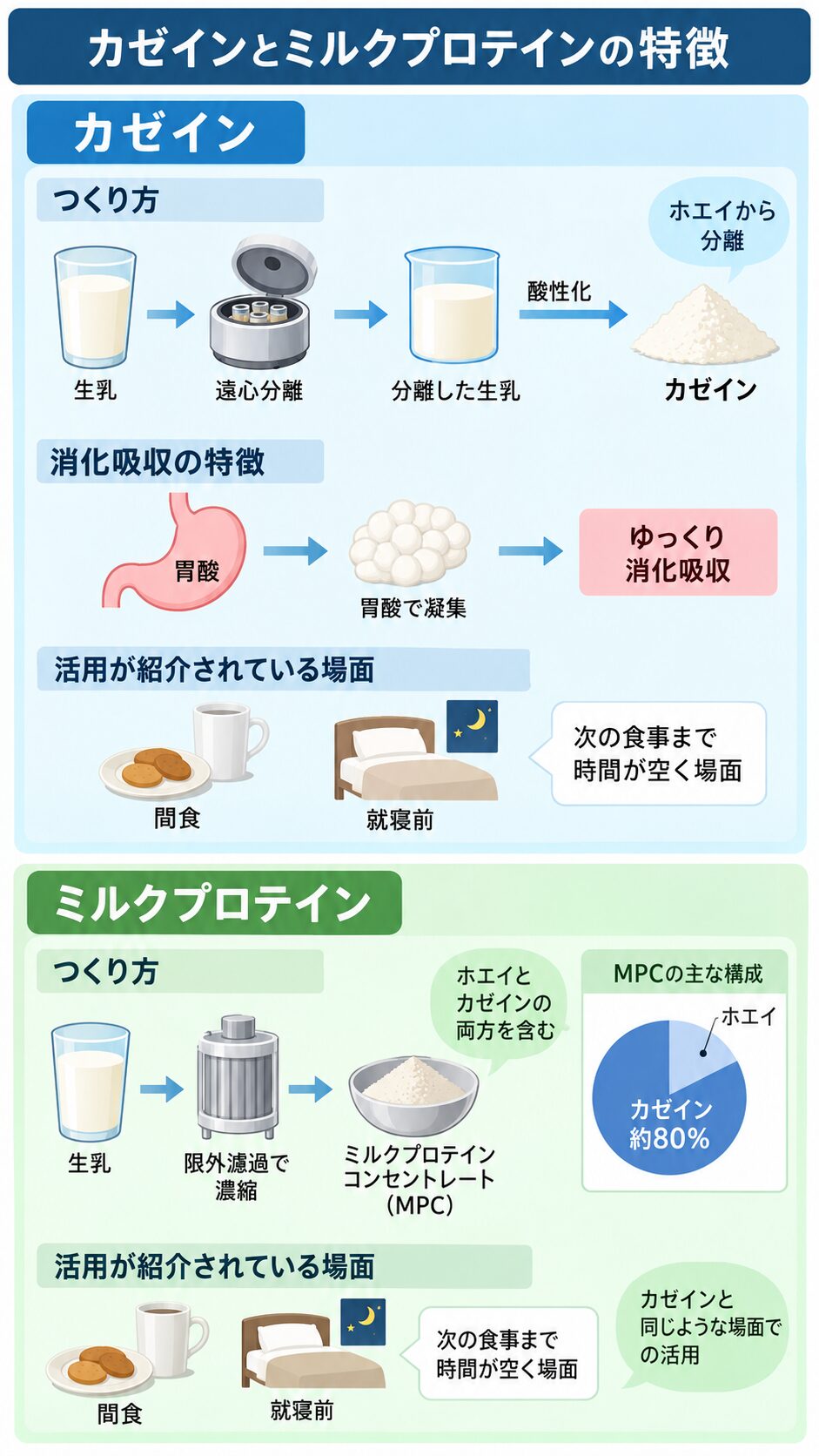カゼインとミルクプロテインのつくり方、胃酸で凝集してゆっくり消化吸収される特徴、間食や就寝前など活用場面を示す図。MPCはカゼイン約80％の円グラフ付き。
