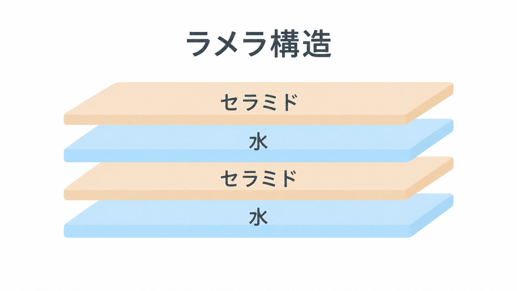 「ラメラ構造」の見出しの下に、セラミド、水、セラミド、水の順で薄いオレンジと水色の層が交互に重なって描かれた図。