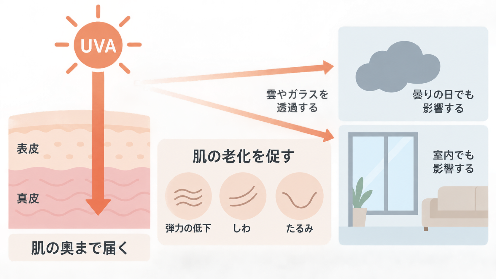 UVAを表す太陽から矢印が表皮を通って真皮まで届く断面図。雲やガラスを透過して曇りの日や室内にも及び、弾力の低下、しわ、たるみなど肌の老化を促すと示している。