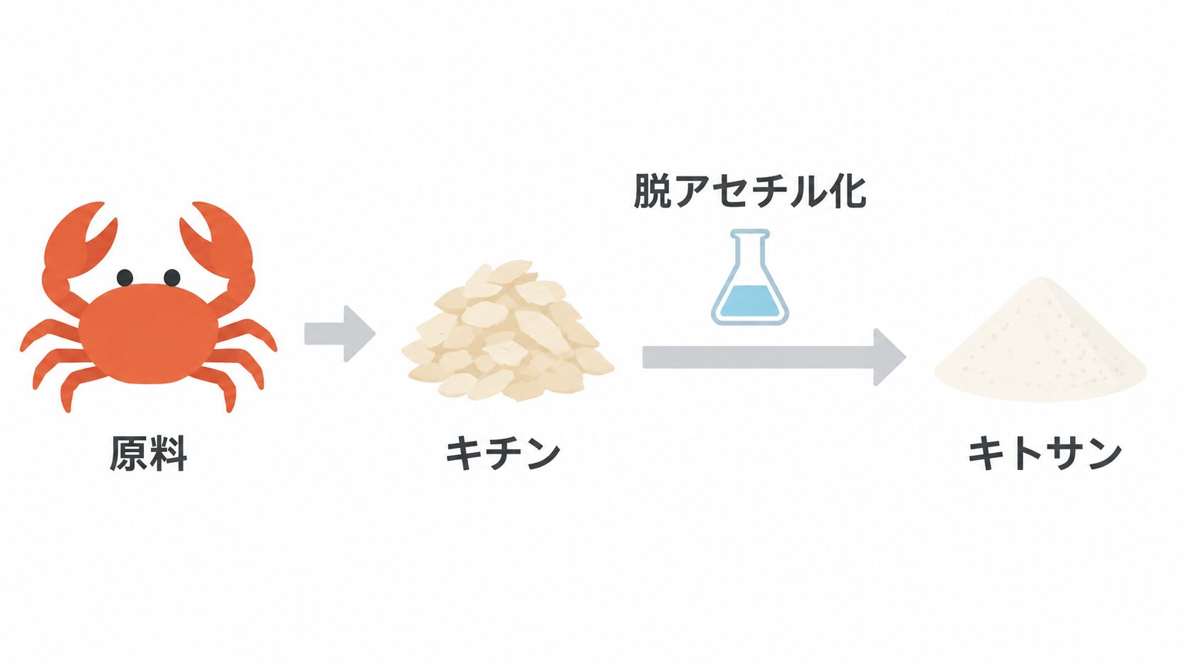 カニのイラスト(原料)から矢印でキチンのフレーク、さらにフラスコの「脱アセチル化」を経て白い粉のキトサンへ進む工程図。