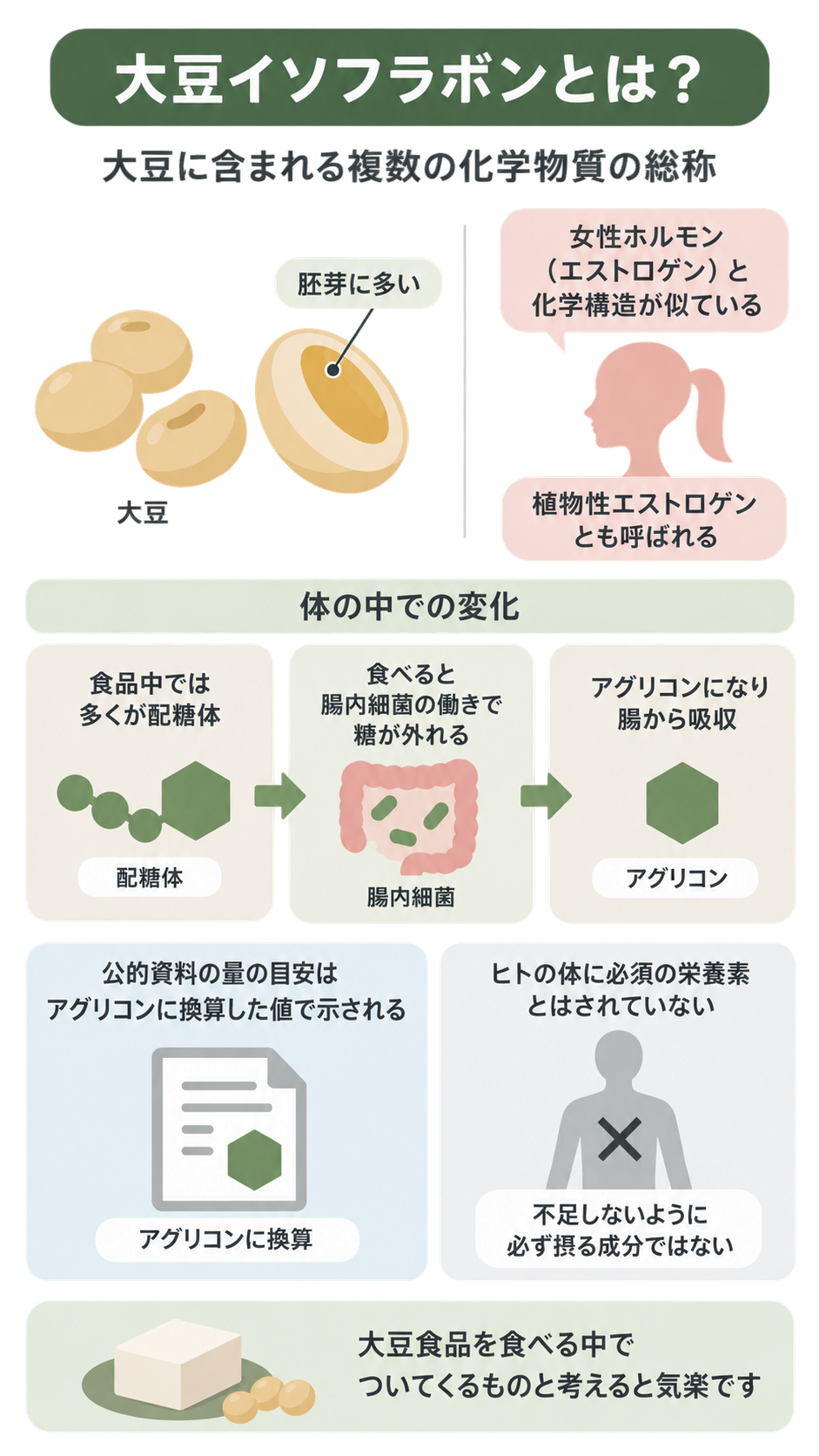 大豆の胚芽に多いこと、エストロゲンと構造が似ていること、配糖体が腸内細菌でアグリコンになり吸収される流れ、必須栄養素ではないことをまとめた図解。