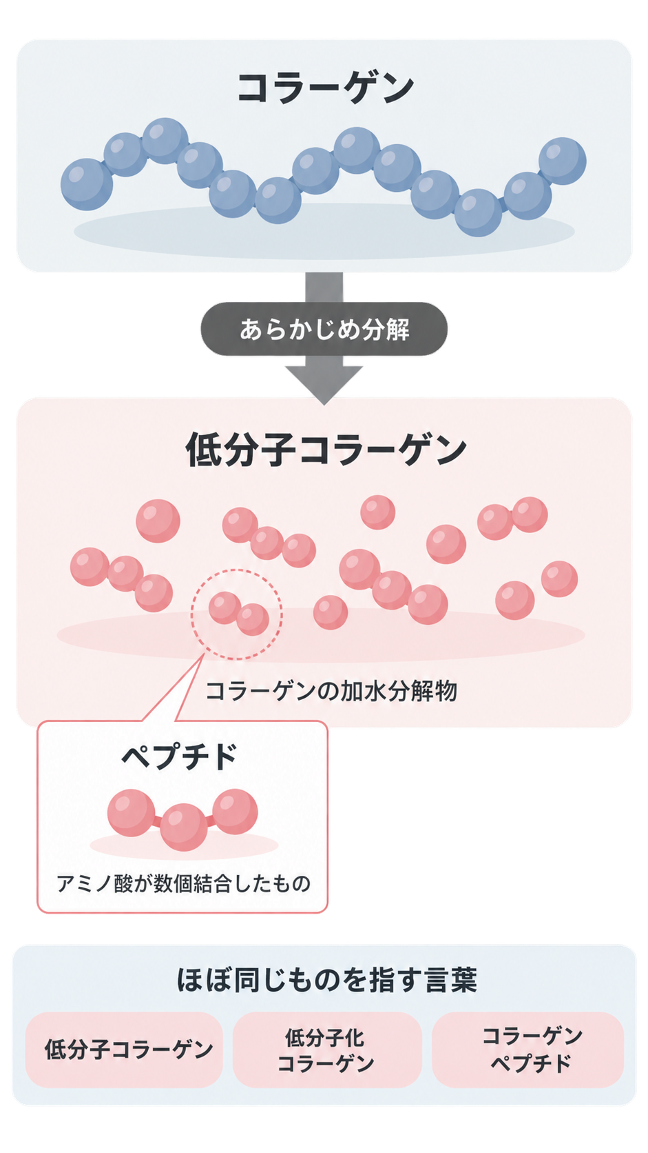 青い球がつながった長いコラーゲンを、あらかじめ分解すると、ピンクの小さな断片の低分子コラーゲン(加水分解物)になる図。ペプチドはアミノ酸が数個結合したもので、低分子コラーゲン、低分子化コラーゲン、コラーゲンペプチドはほぼ同じものを指すと示している。