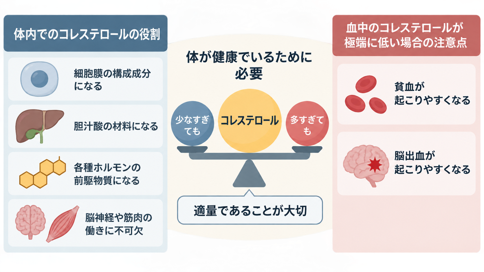 左に細胞膜、胆汁酸、ホルモン、脳神経や筋肉への役割、中央に「少なすぎても多すぎても」の天秤と「適量であることが大切」、右に極端に低い場合の貧血と脳出血を示した図。