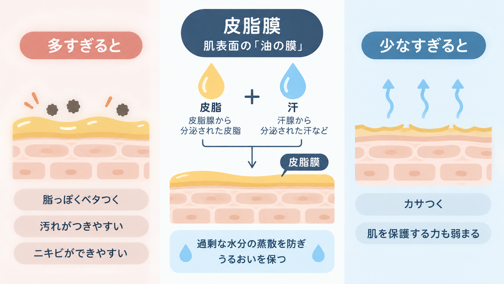 皮脂と汗が混じって皮脂膜ができ、水分の蒸散を防ぐ仕組みを中央に示した三分割の図。左は皮脂が多すぎる場合のベタつきや汚れ、ニキビ、右は少なすぎる場合のカサつきや保護力の低下を表す。