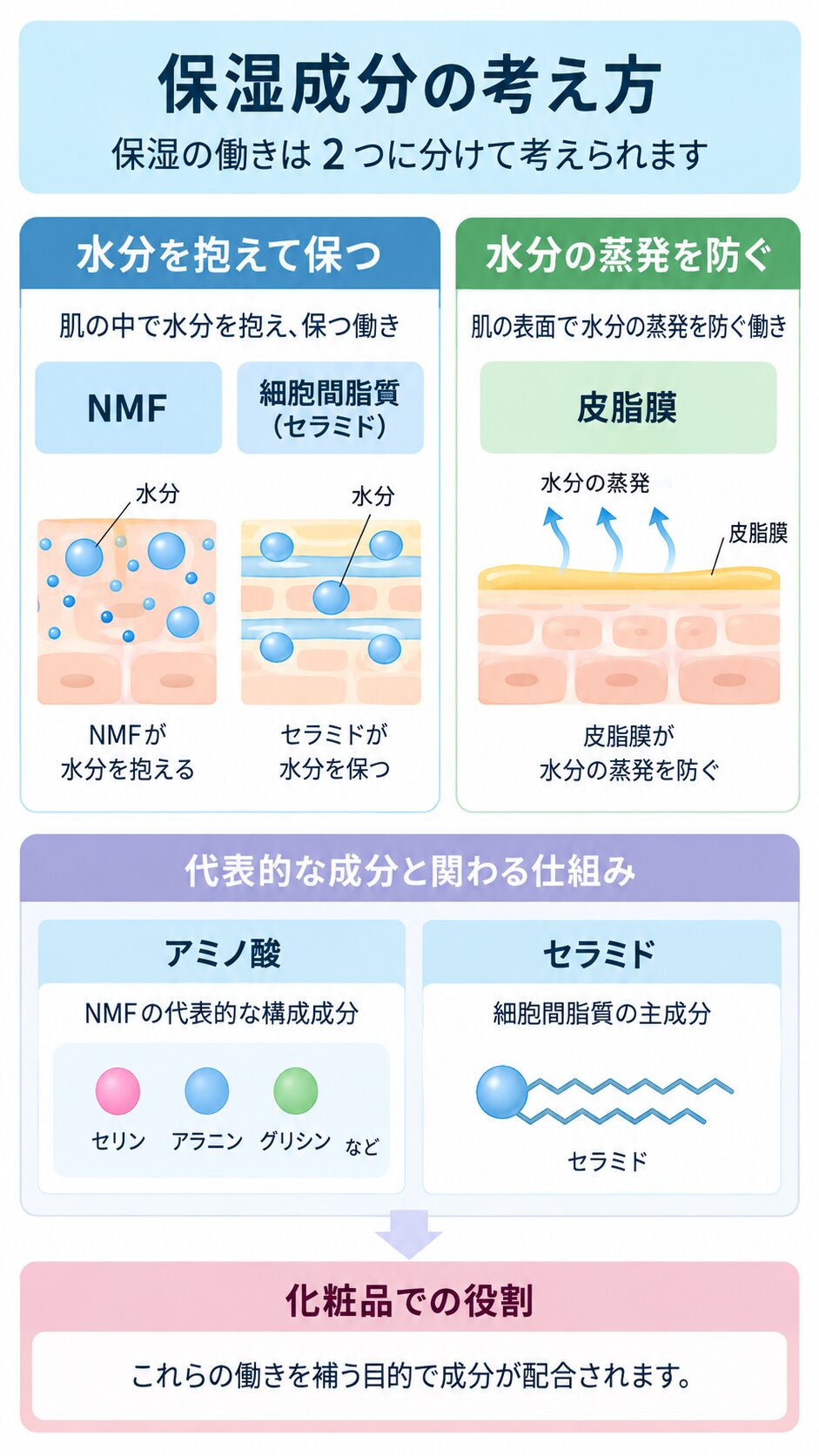 保湿の働きを「水分を抱えて保つ(NMF・セラミド)」と「水分の蒸発を防ぐ(皮脂膜)」に分けた図。アミノ酸とセラミドが関わる仕組みと、化粧品での役割も示している。