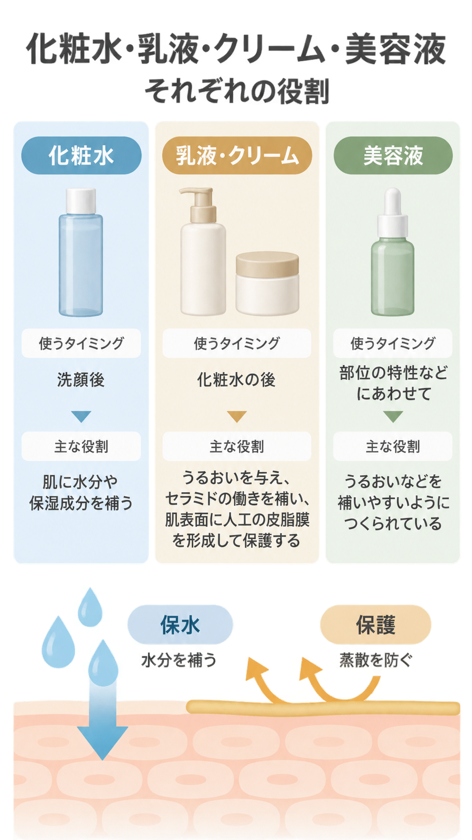 化粧水、乳液・クリーム、美容液の3列で、容器のイラストと使うタイミング、主な役割を並べた図。下部には肌の断面に水分を補う矢印と、蒸散を防ぐ膜の図がある。