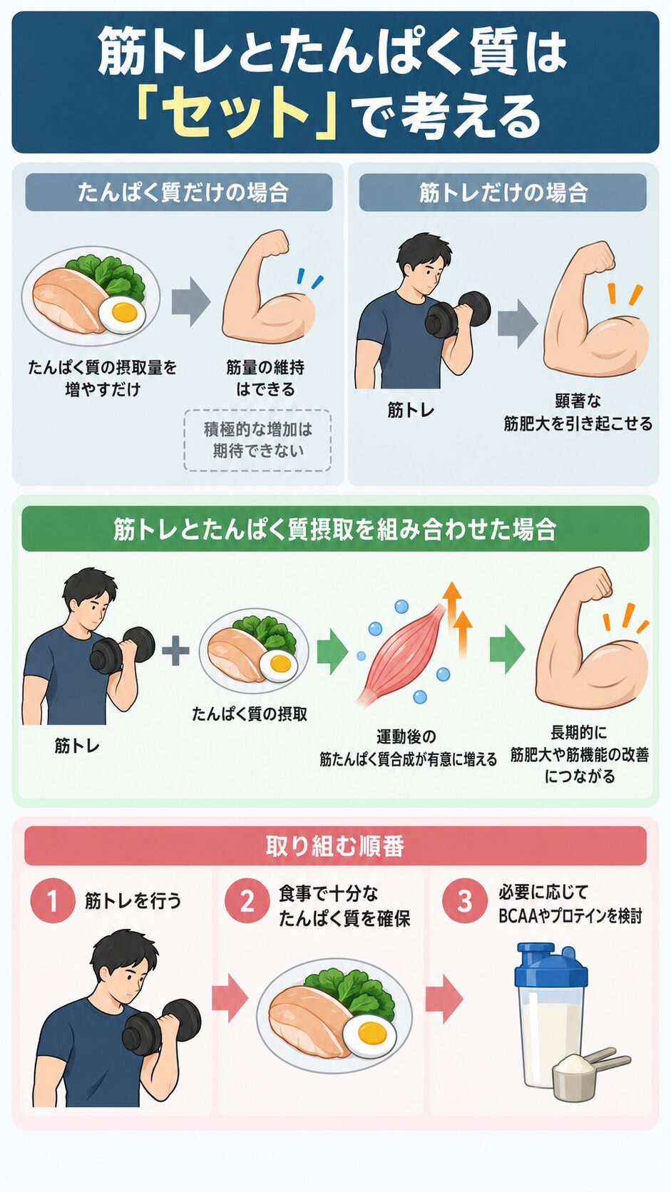 たんぱく質のみ、筋トレのみ、両方を組み合わせた場合の筋肉への影響を比べ、筋トレ、食事、プロテインの順に取り組む流れを示したイラスト。