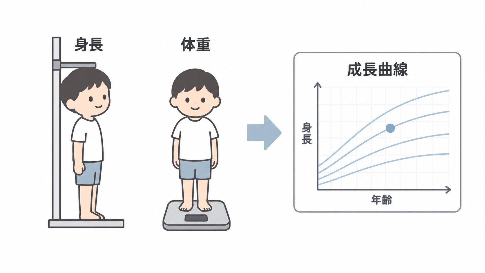 身長計で身長を測る子どもと体重計に乗る子どもの絵から矢印が伸び、身長と年齢を軸にした成長曲線のグラフに点が示されている図。