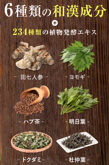 6種類の和漢成分・234種類の植物発酵エキスを配合